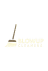 Blowup Cleaners logo