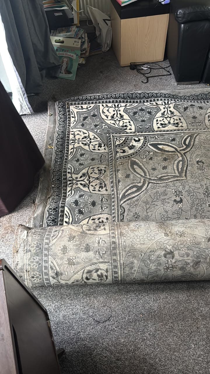 Wool Rug Collected for Cleaning